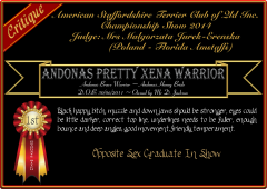 Andonas Pretty Xena Warrior.png